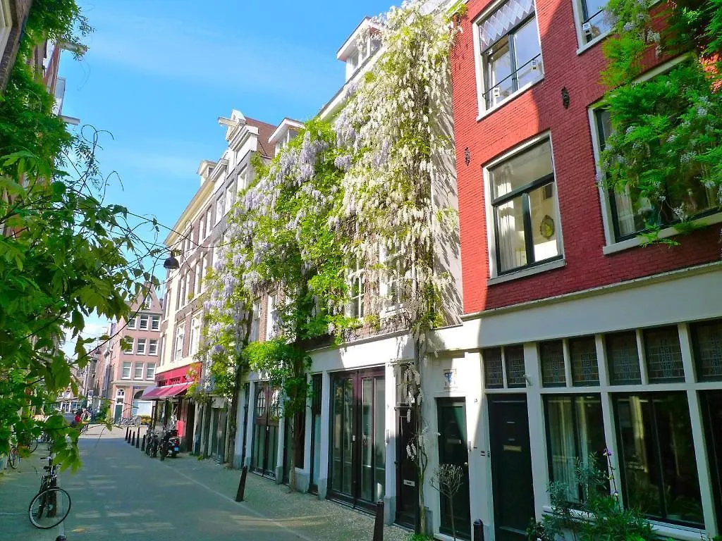 Bed & Breakfast B & B Eye Amsterdam Netherlands
